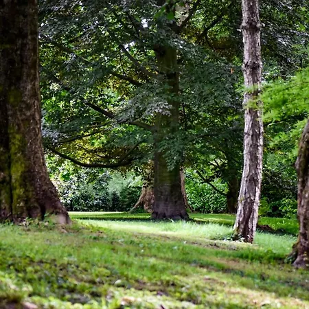 Solatia * カルドーニョ