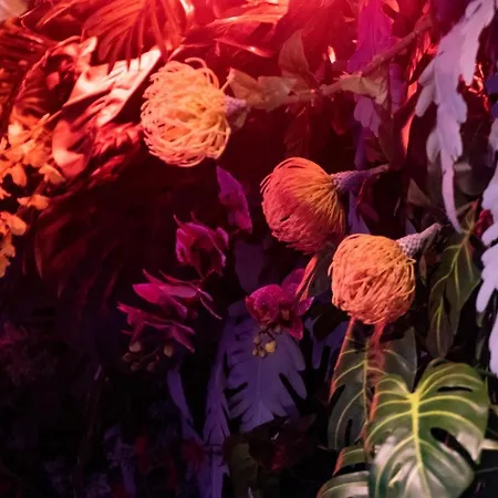 Solatia Apartment Caldogno