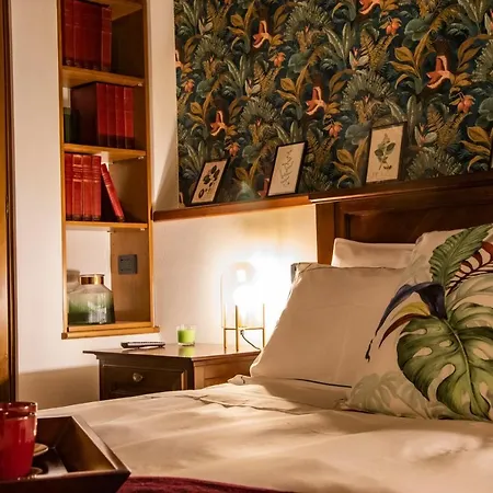 Solatia カルドーニョ