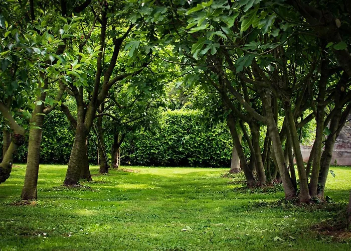 Solatia Διαμέρισμα