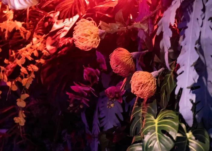 Solatia Διαμέρισμα Caldogno